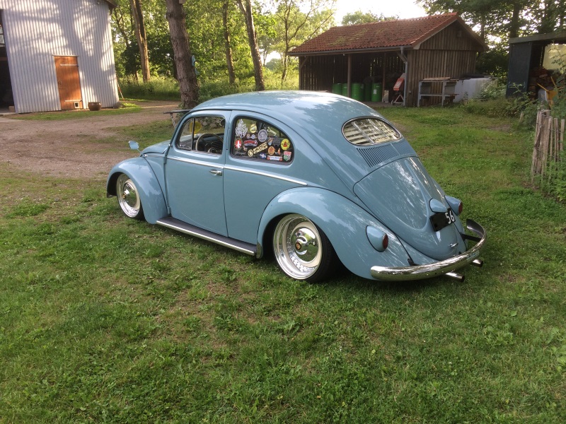beetle1.jpg