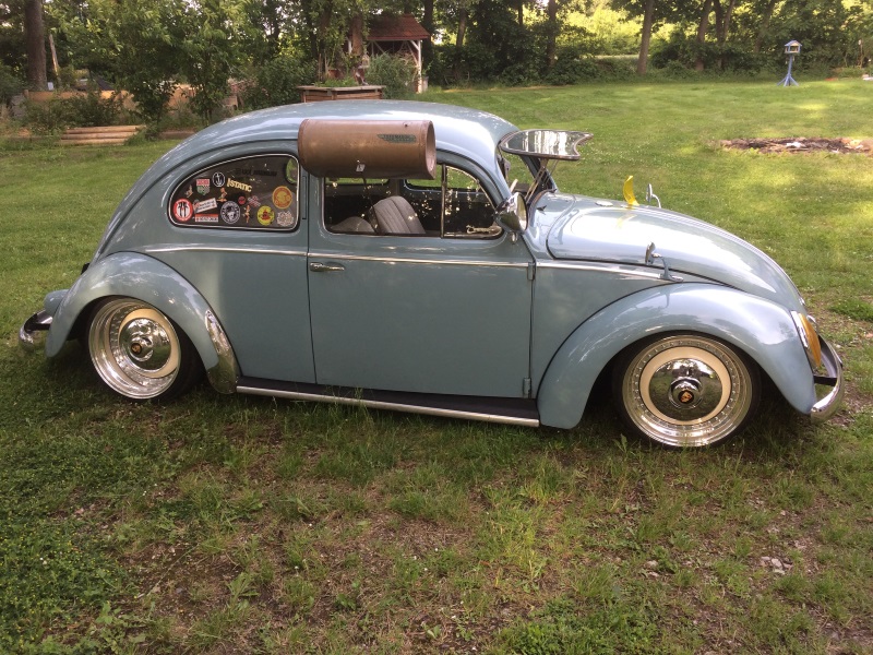 beetle2.jpg