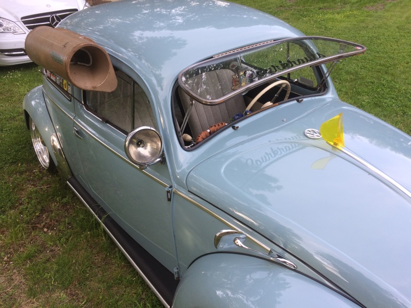 beetle3.jpg
